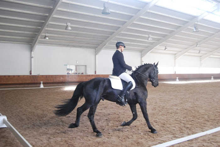 Resultados de la 1ª Fase de Doma Clásica, Doma Adaptada y Juegos Deportivos 2018